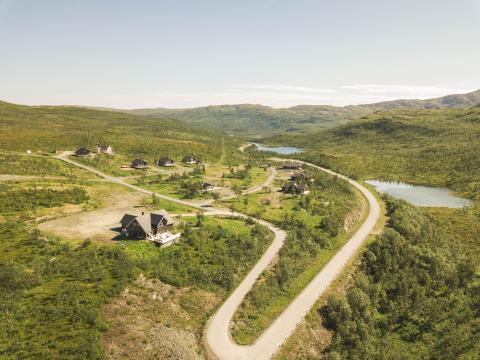 Grønliskaret om sommeren